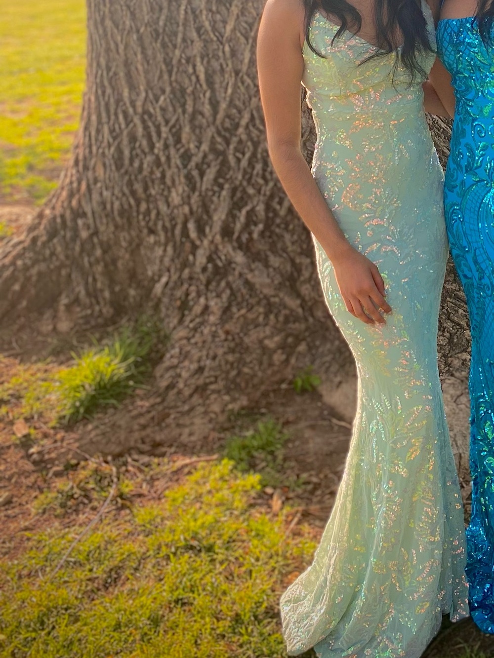 Windsor Sage Green Sequin Mermaid Formal Gown-worn once!